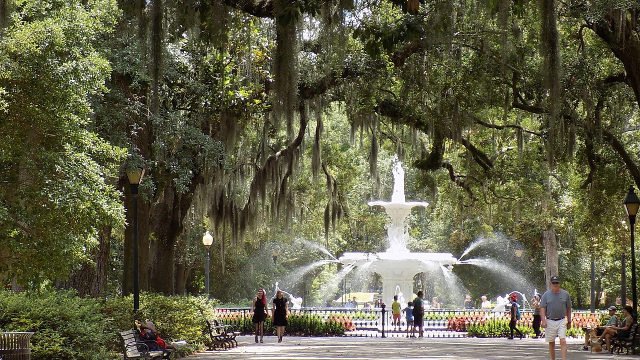 Photo of Others in Savannah