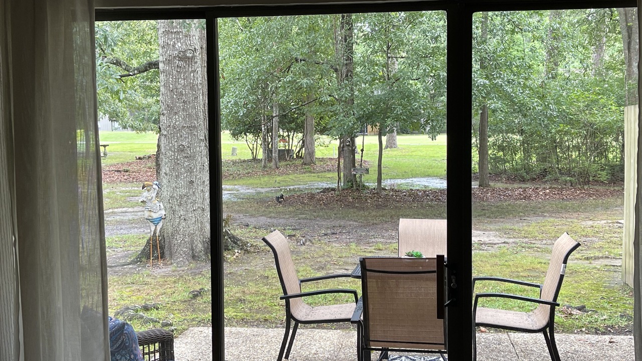 Photo of Others in Mandeville