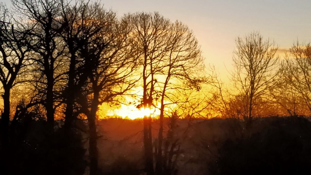 Photo of Others in Landudal