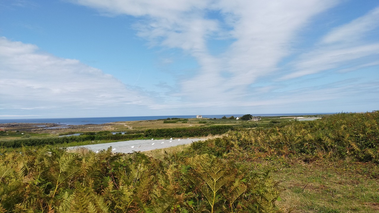 Photo of Others in Landudal