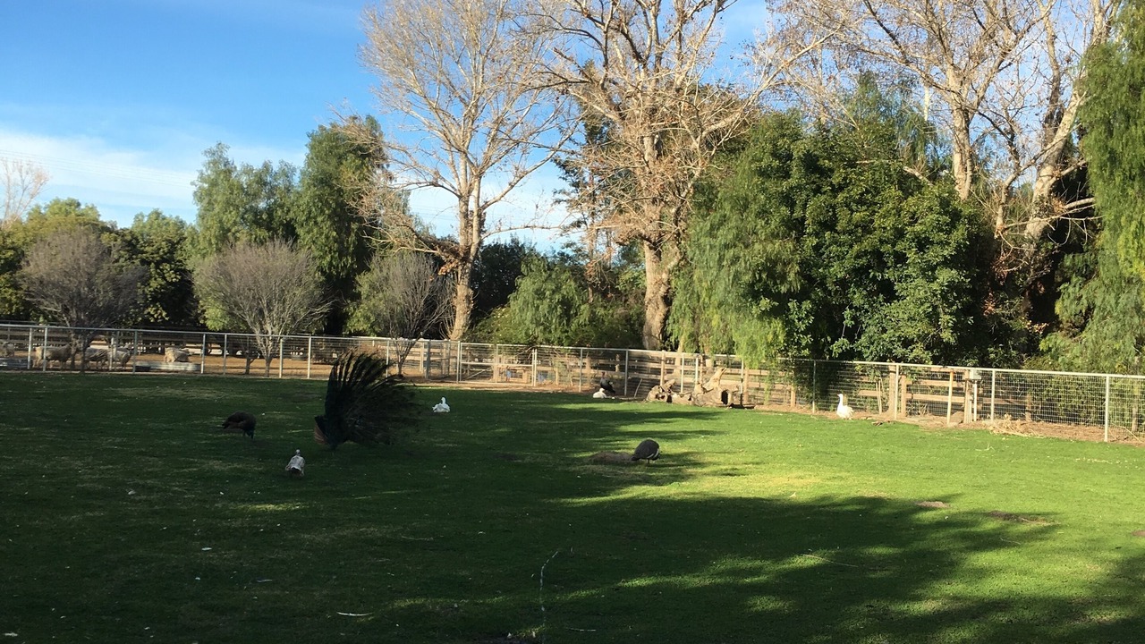 Photo of Outdoor in Temecula