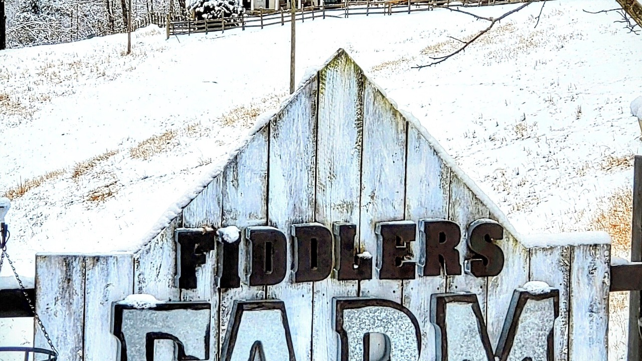 Photo of Outdoor in Galax