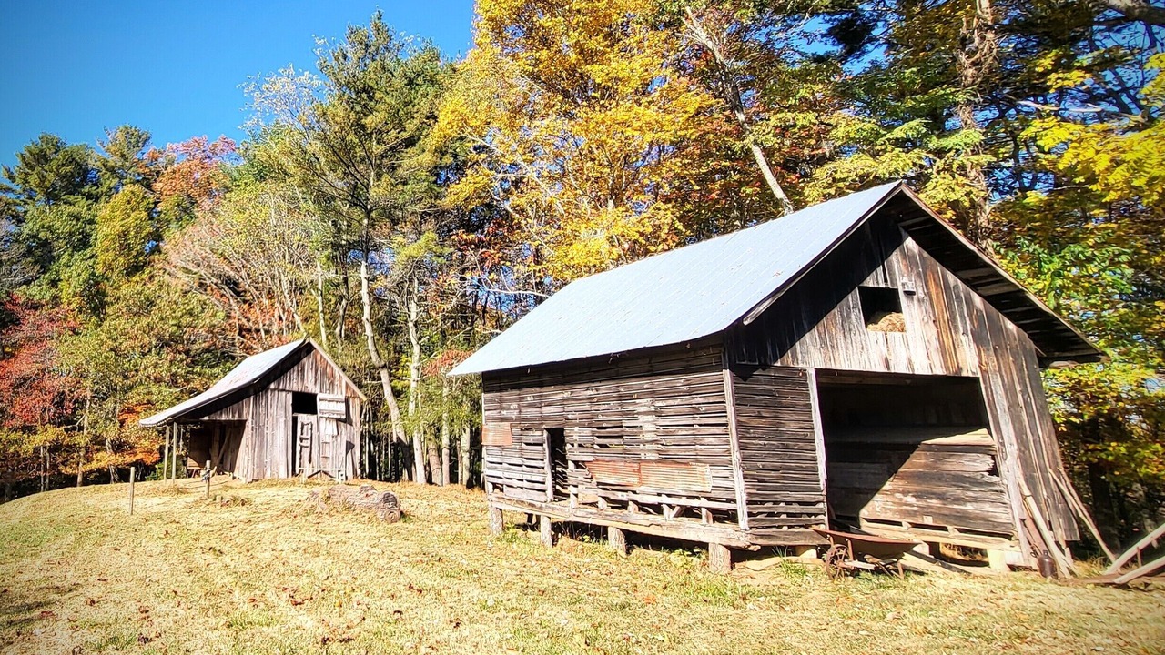 Photo of Outdoor in Galax