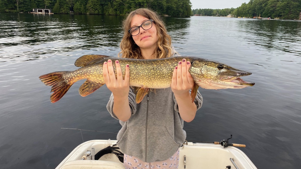 Photo of Others in Muskoka Lakes