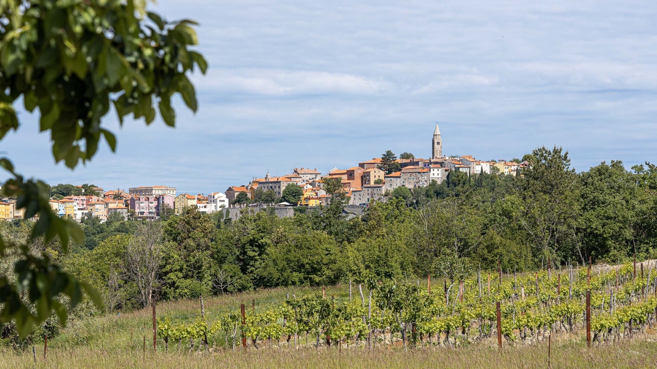 Photo of Outdoor in Gondolici