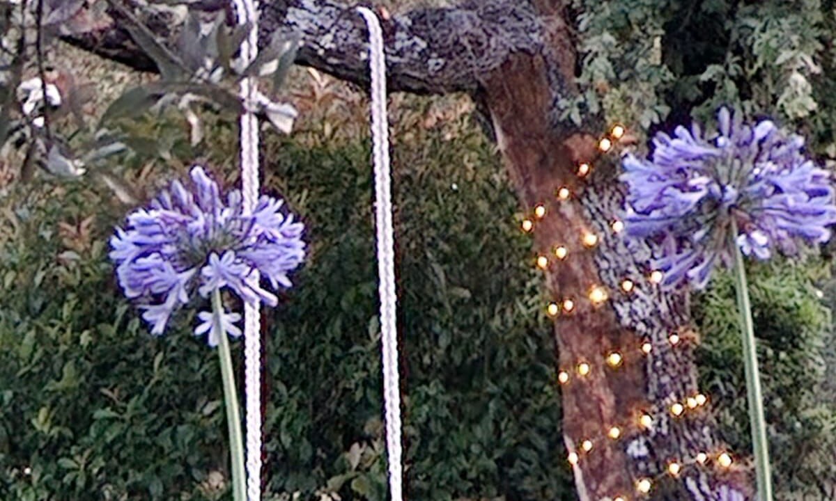 Photo of Outdoor in Saint-Cezaire-sur-Siagne