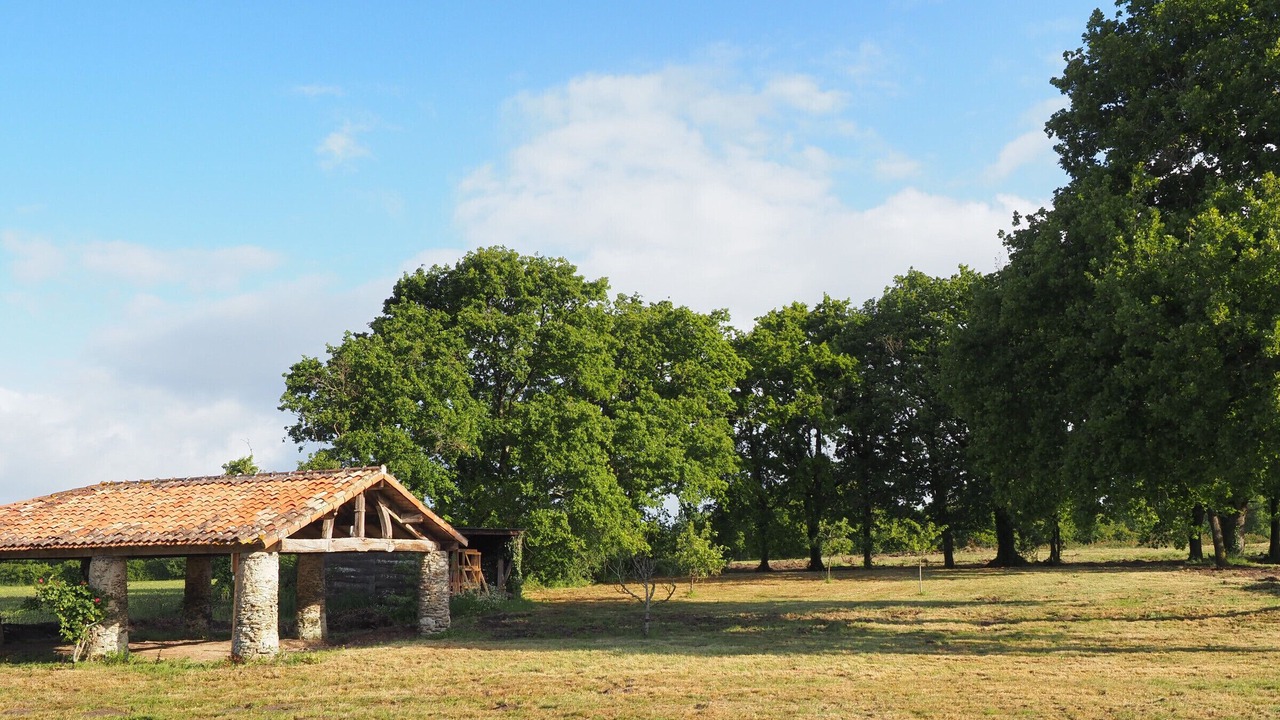 Photo of Others in Sallertaine