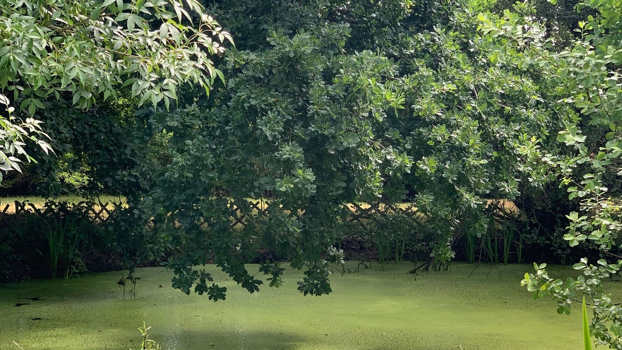 Photo of Outdoor in Sallertaine