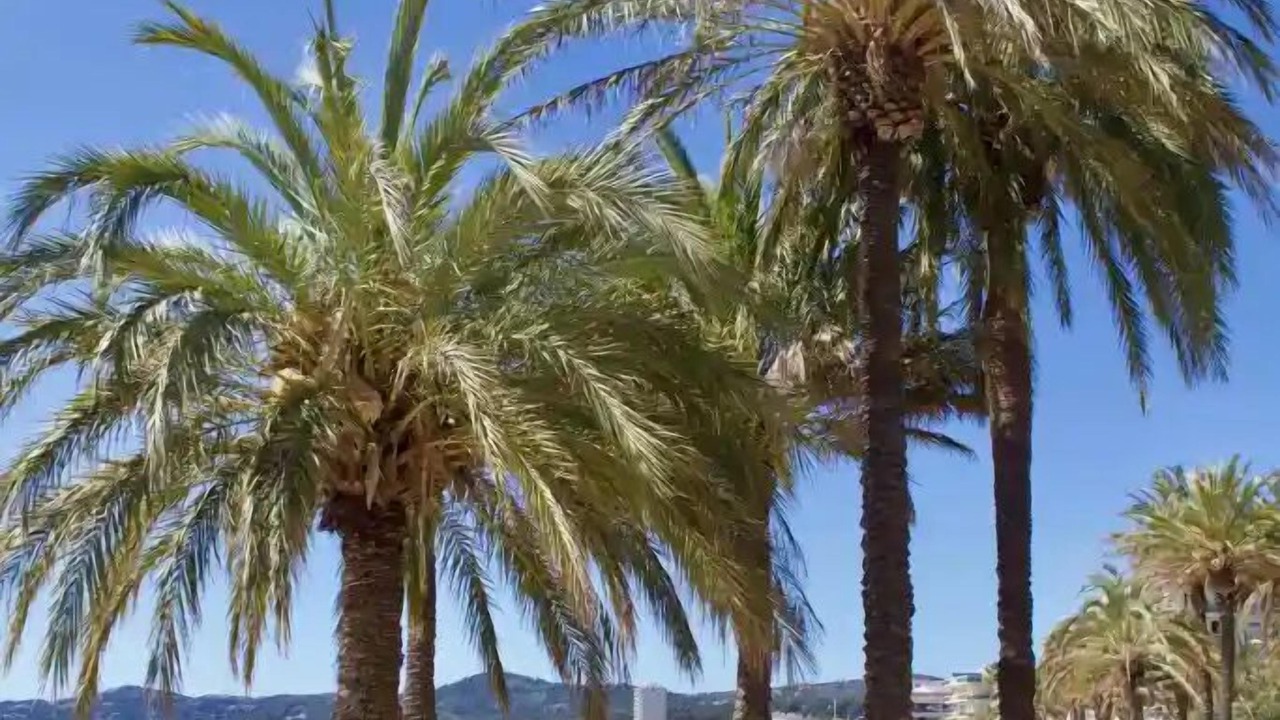 Photo of Others in Le Lavandou