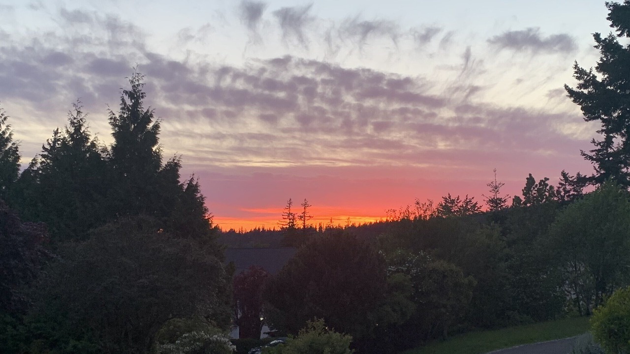 Photo of Others in Samish Hill