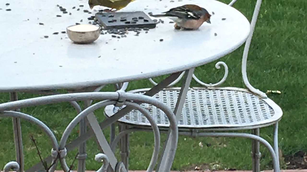 Photo of Outdoor in Souvigny-en-Sologne