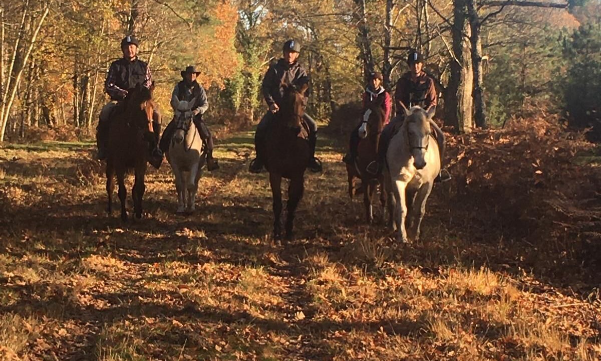 Photo of Others in Souvigny-en-Sologne