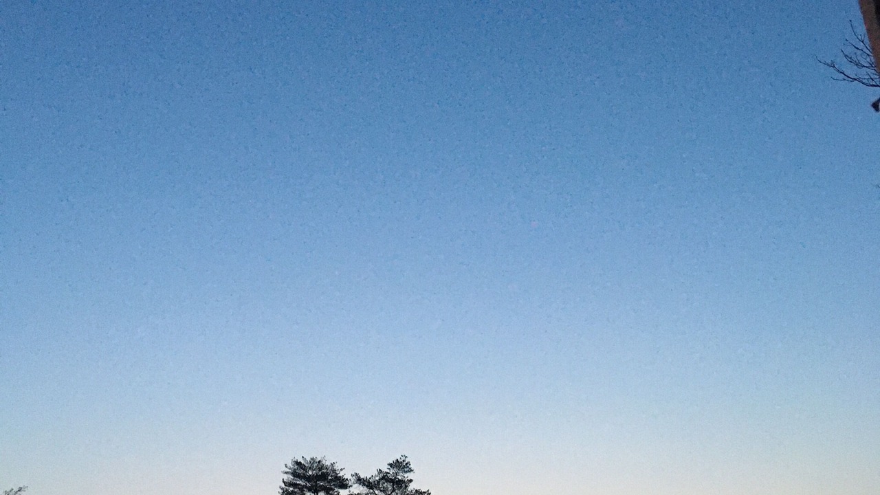 Photo of Others in Souvigny-en-Sologne