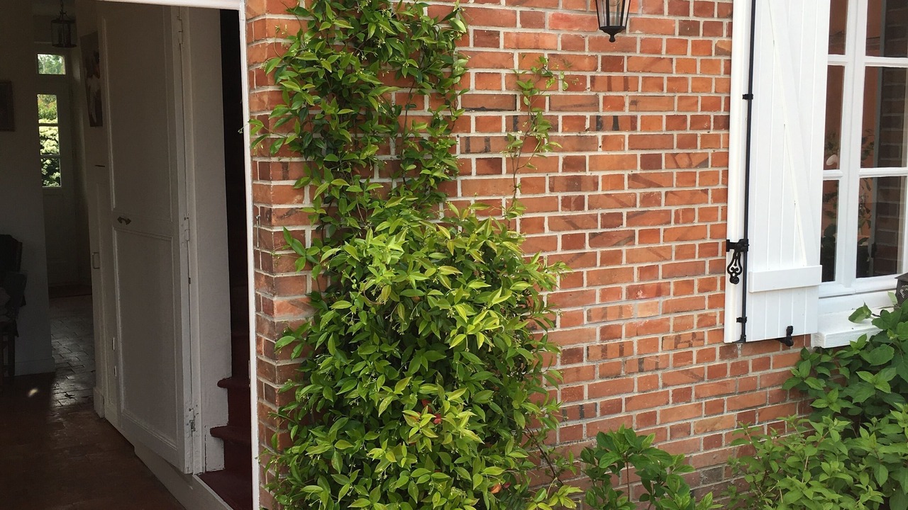 Photo of Outdoor in Souvigny-en-Sologne