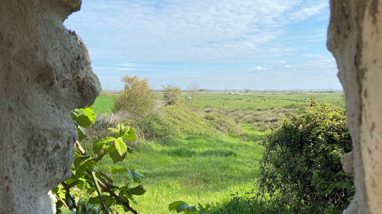 Photo of Outdoor in Saint-Just-Luzac