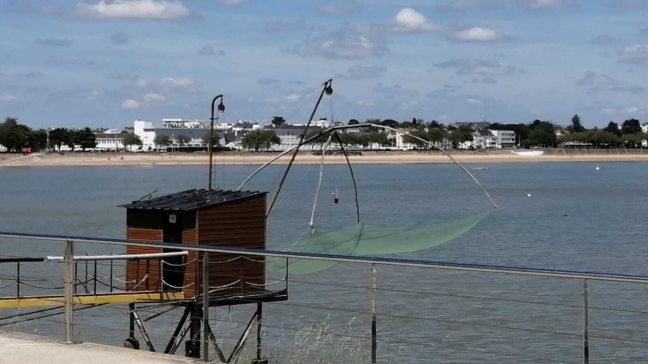 Photo of Others in Saint-Nazaire