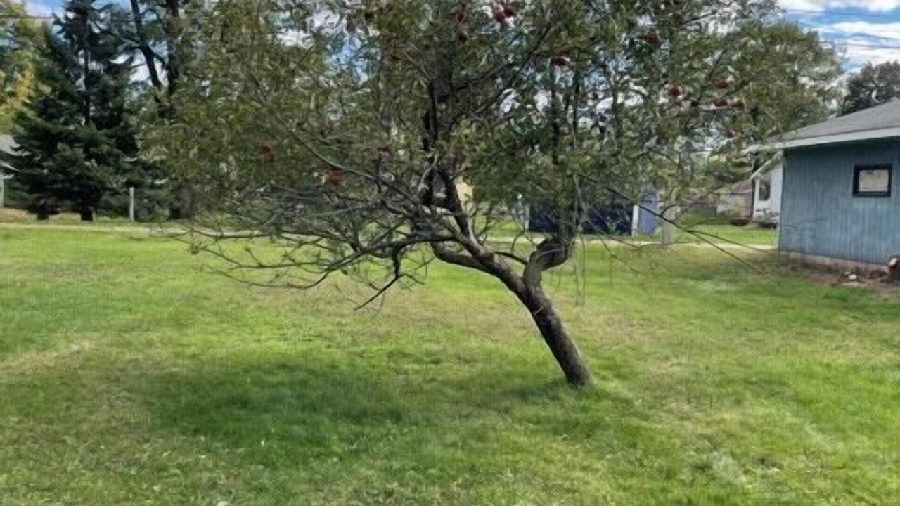 Photo of Others in Iron Mountain