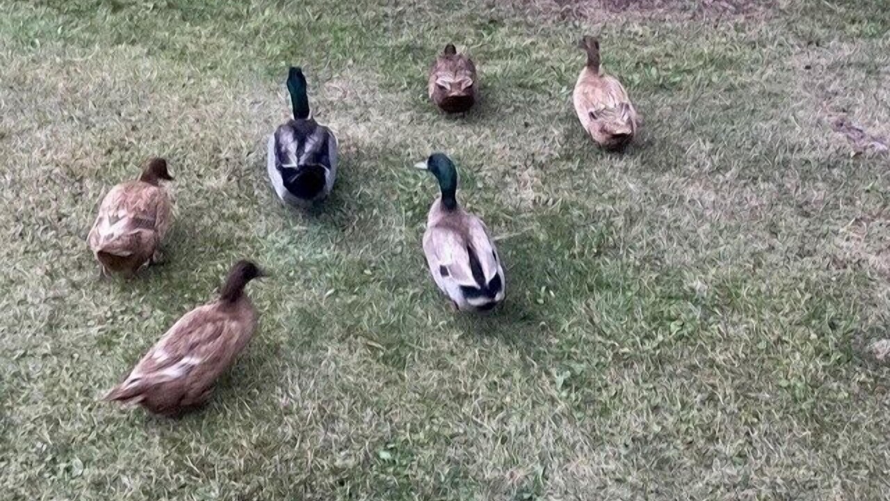 Photo of Others in Iron Mountain