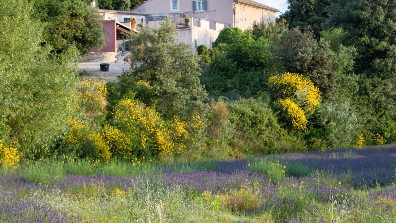 Photo of Outdoor in Bourg-Saint-Andeol