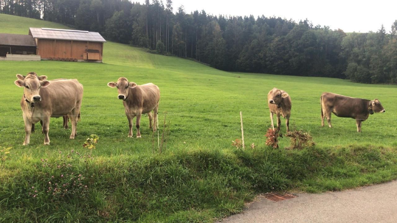 Photo of Others in Neckertal