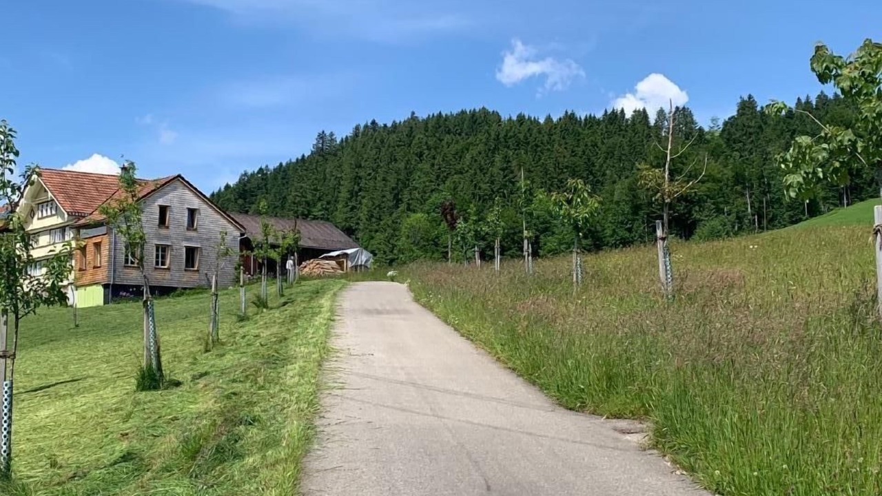 Photo of Others in Neckertal