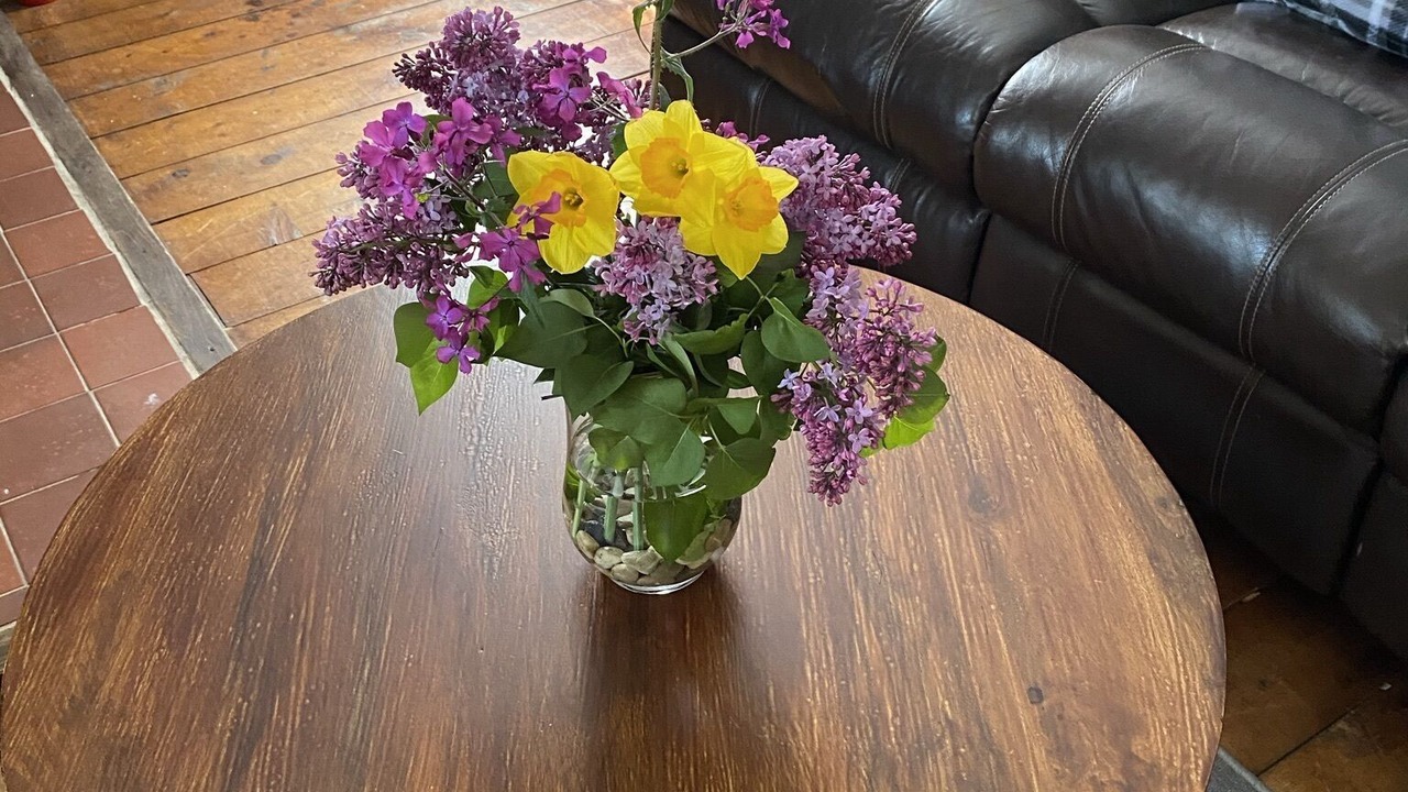 Photo of Livingroom in Douglas