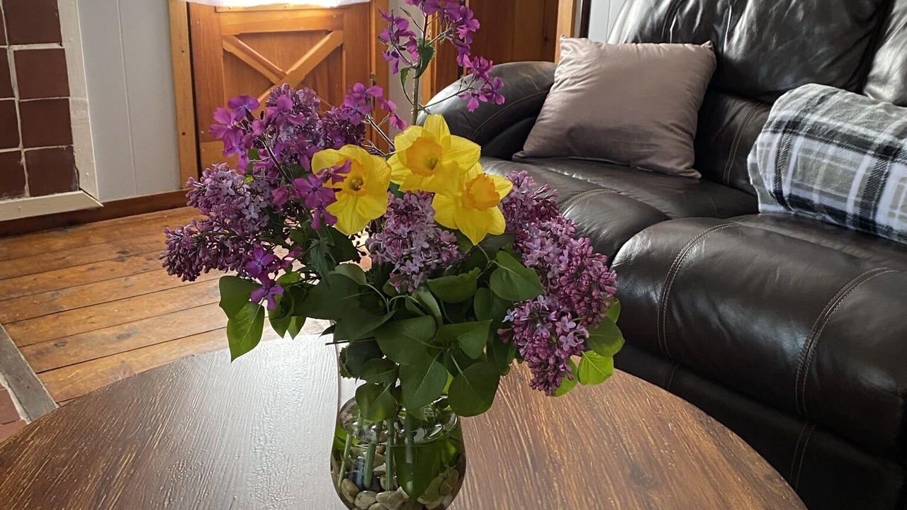 Photo of Livingroom in Douglas