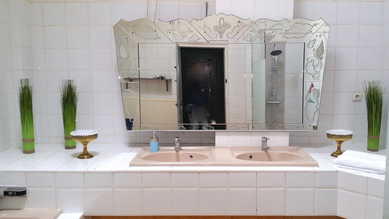 Photo of Bathroom in Villereal