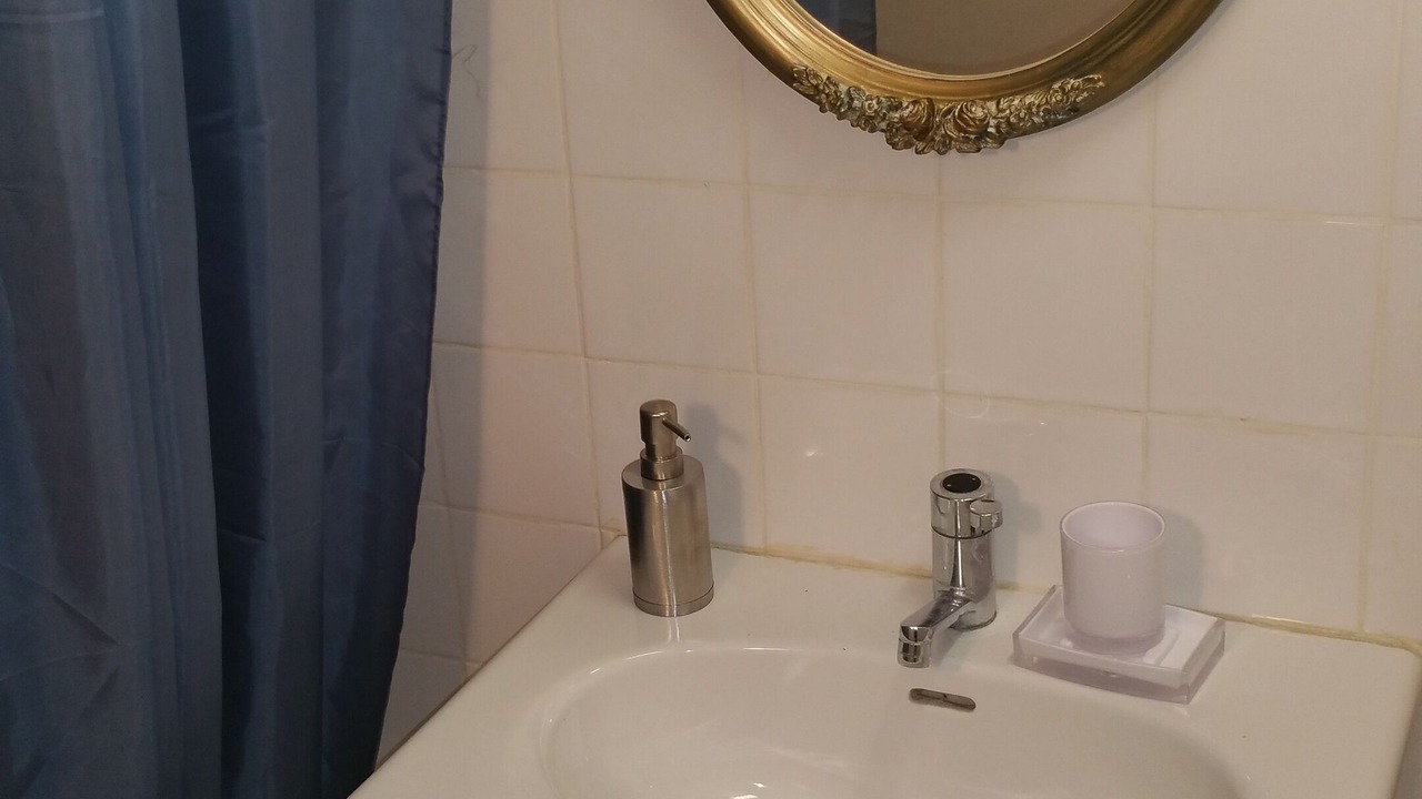 Photo of Bathroom in Villereal