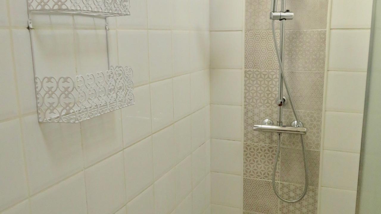 Photo of Bathroom in Villereal