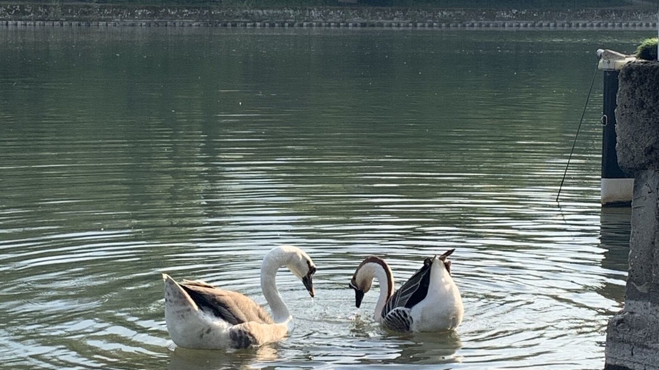 Photo of Outdoor in Blois