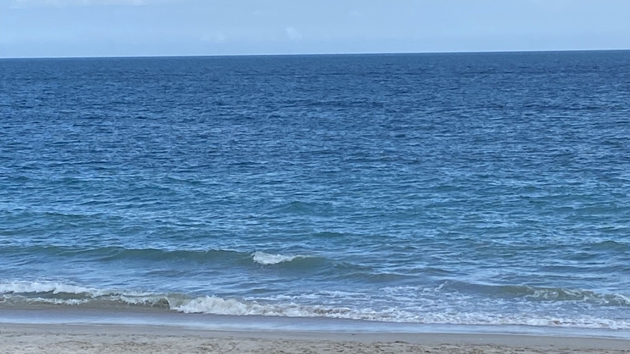 Photo of Others in Central Beach