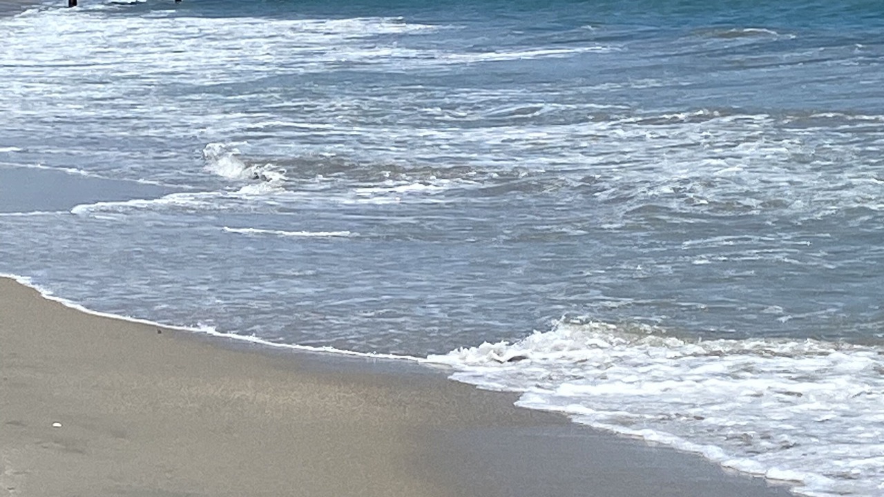 Photo of Others in Central Beach