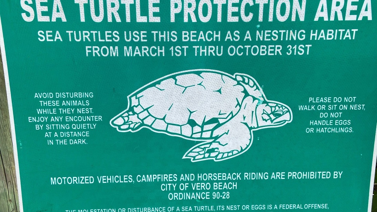 Photo of Outdoor in Central Beach