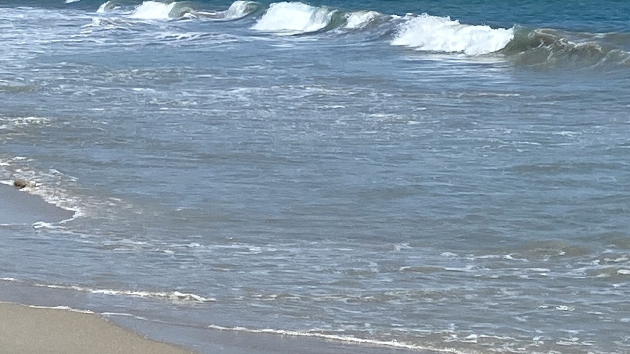 Photo of Others in Central Beach