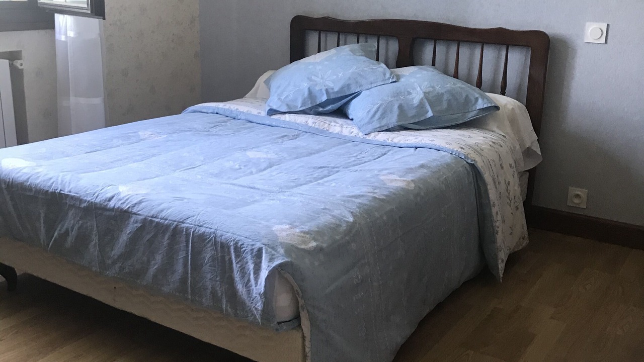 Photo of Bedroom in Bartres