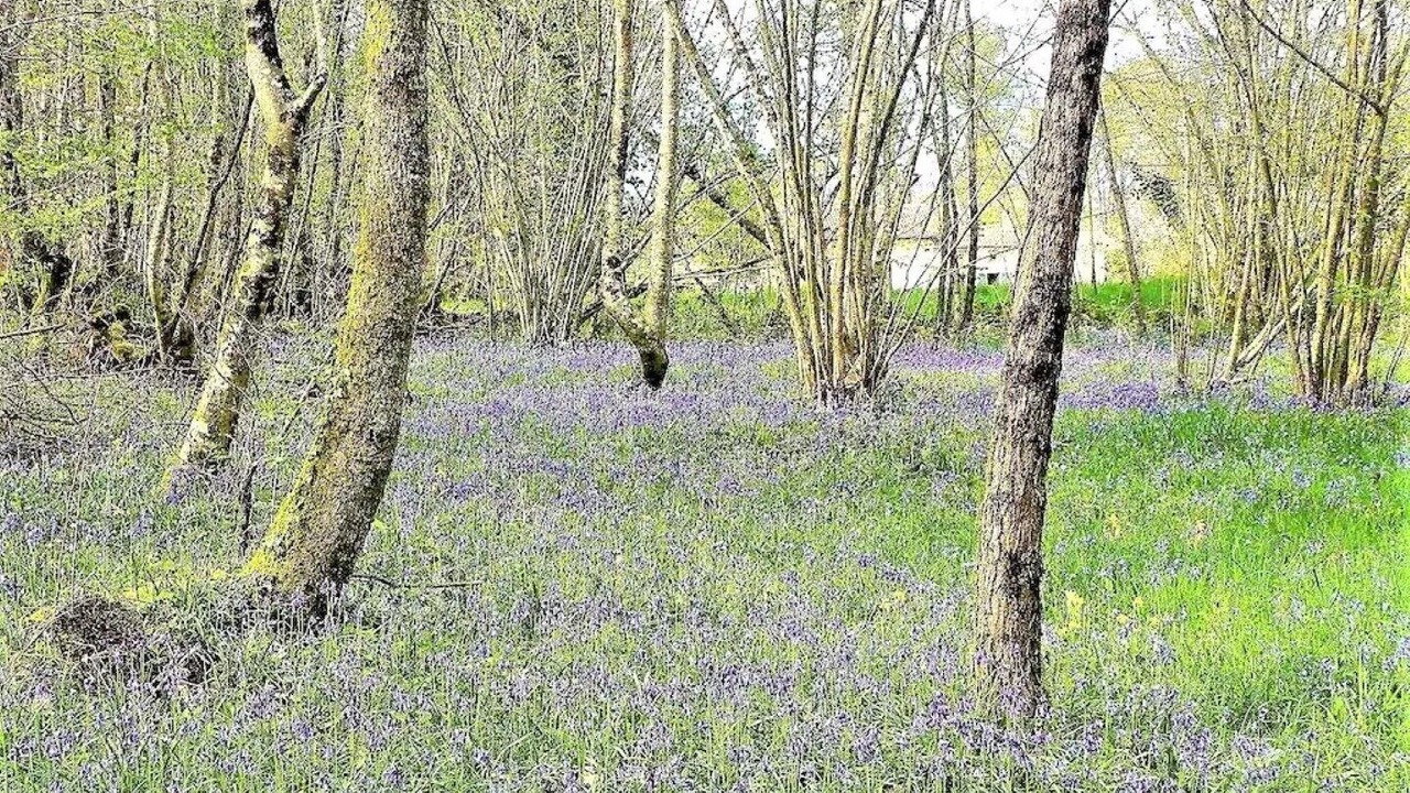 Photo of Outdoor in Abjat-sur-Bandiat