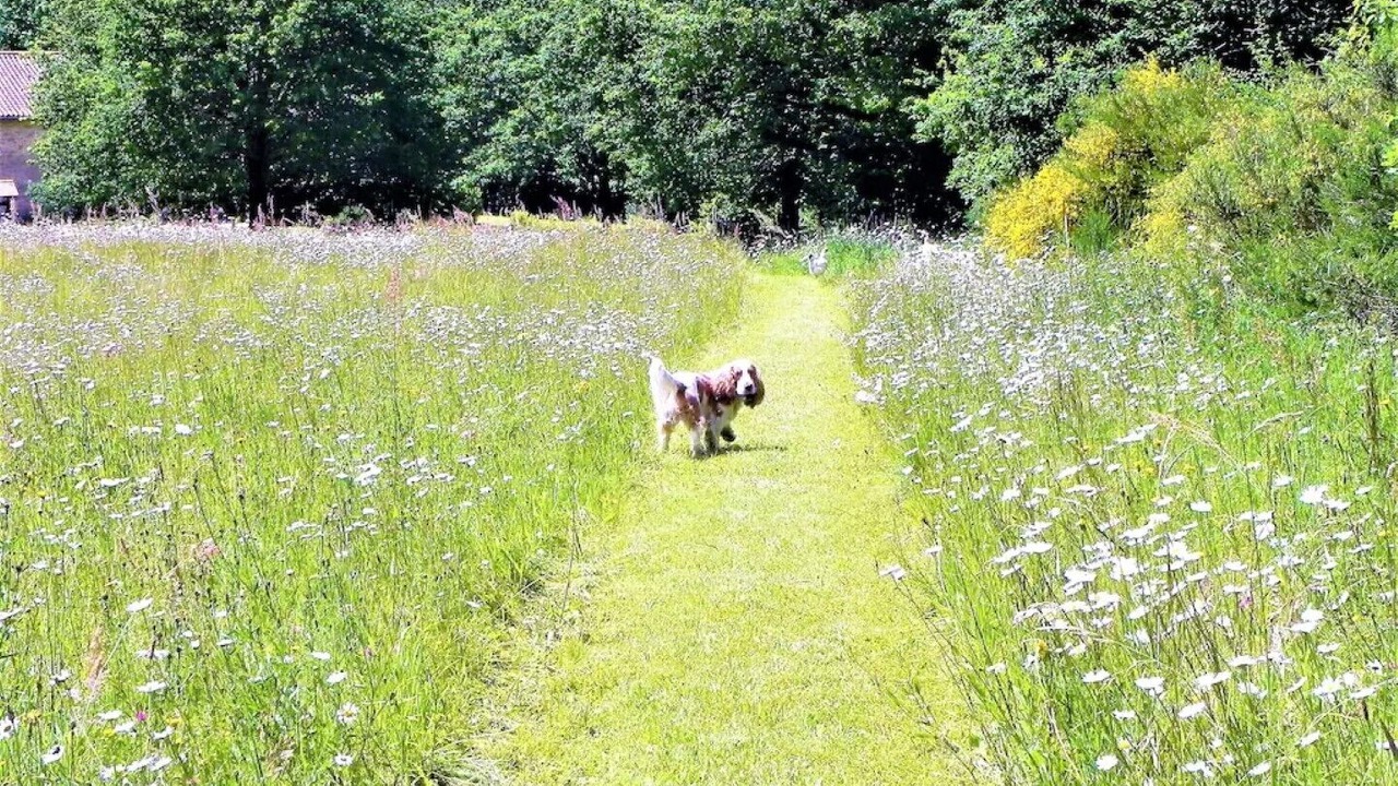 Photo of Outdoor in Abjat-sur-Bandiat