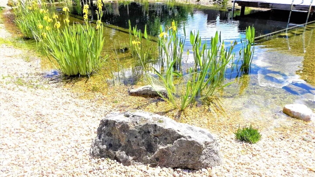 Photo of Outdoor in Abjat-sur-Bandiat