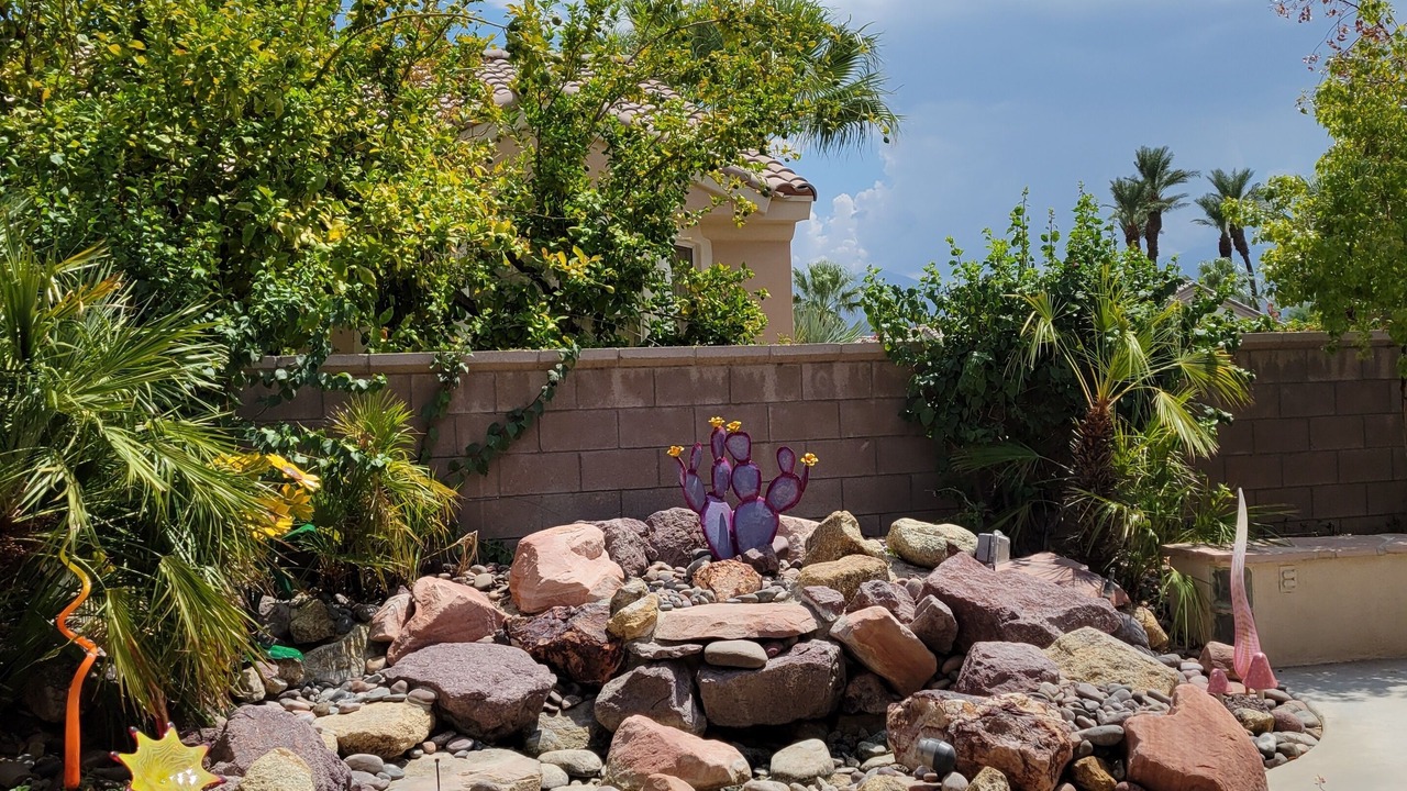 Photo of Outdoor in Desert Palms