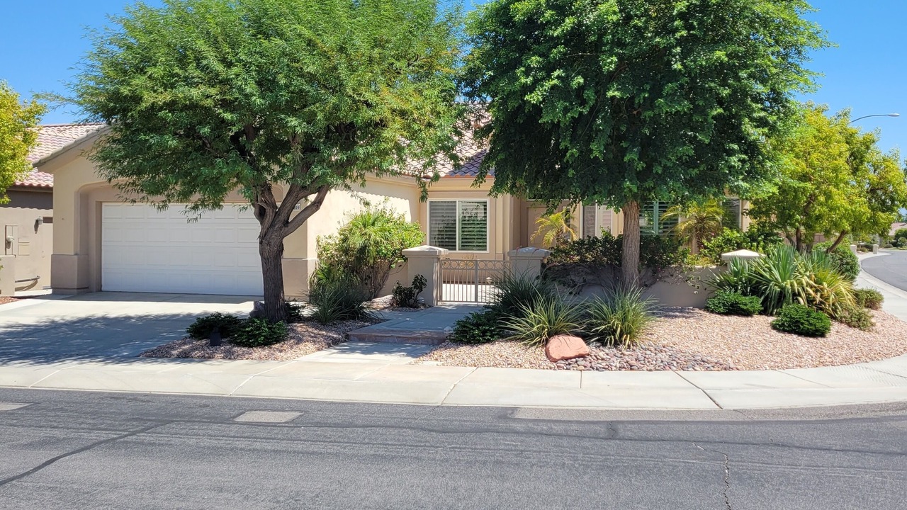 Photo of Others in Desert Palms