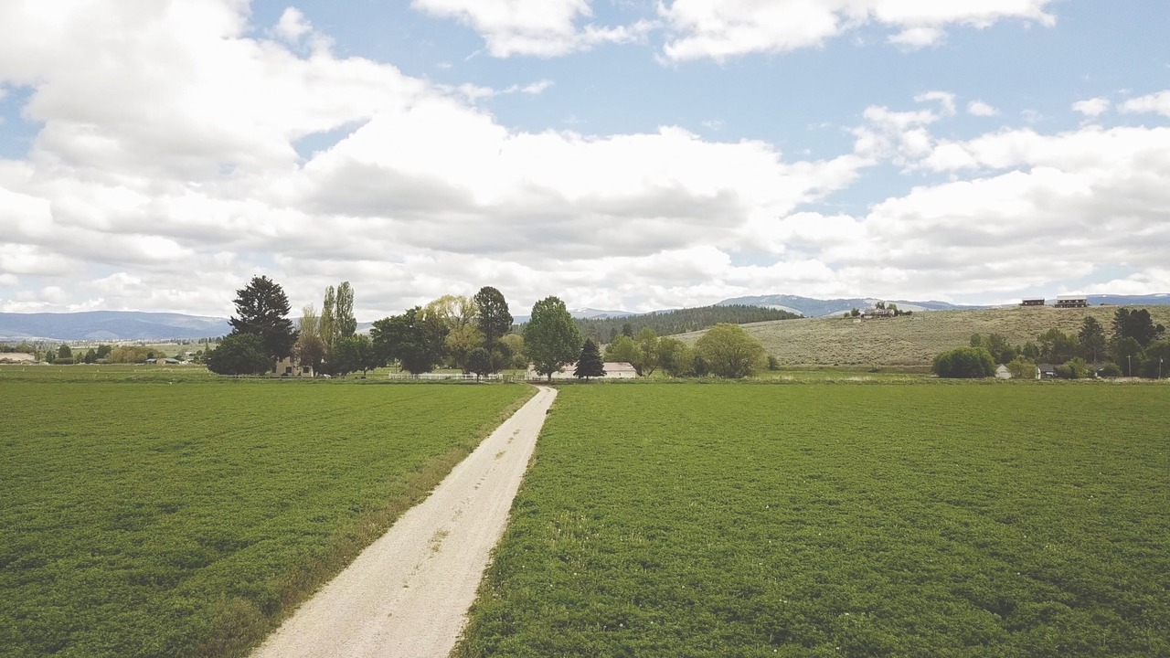 Photo of Outdoor in Stevensville