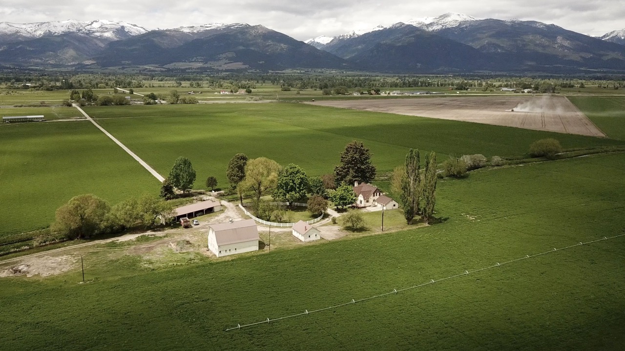 Photo of Others in Stevensville