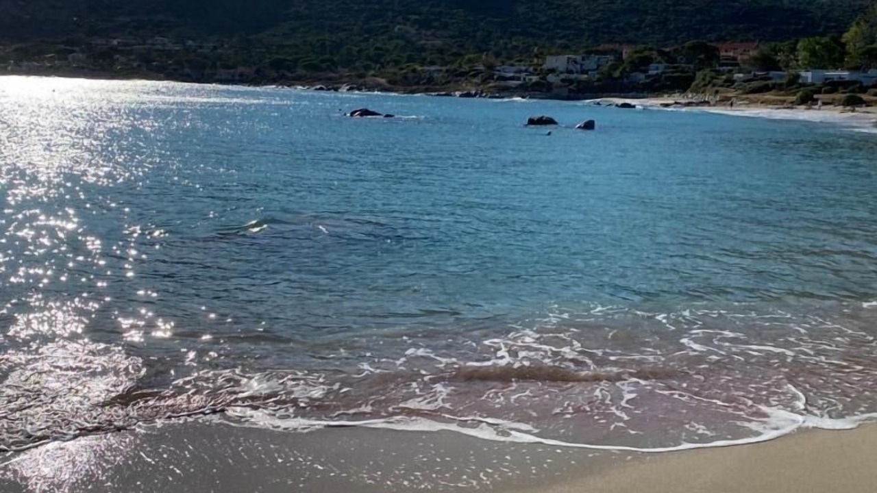 Photo of Others in Marine de Saint Ambroggio