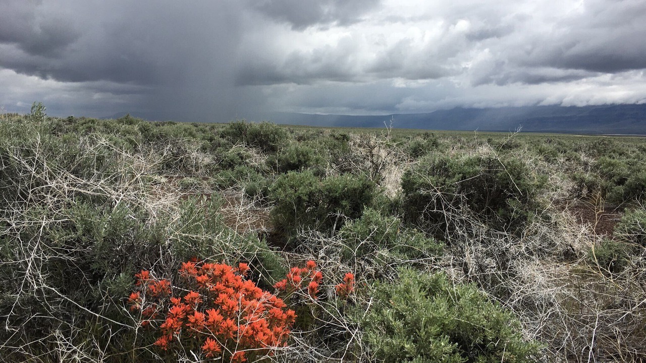Photo of Outdoor in Plush