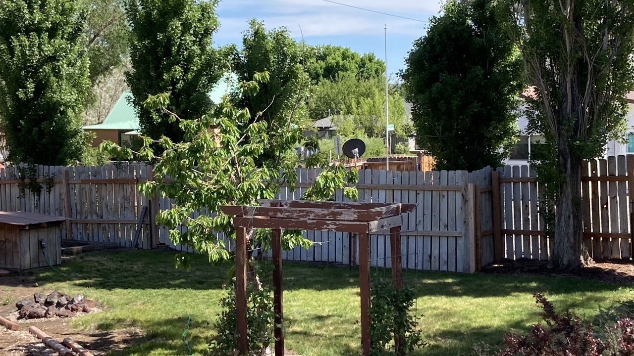 Photo of Outdoor in Plush
