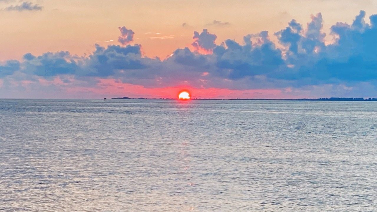 Photo of Others in Indian Waters