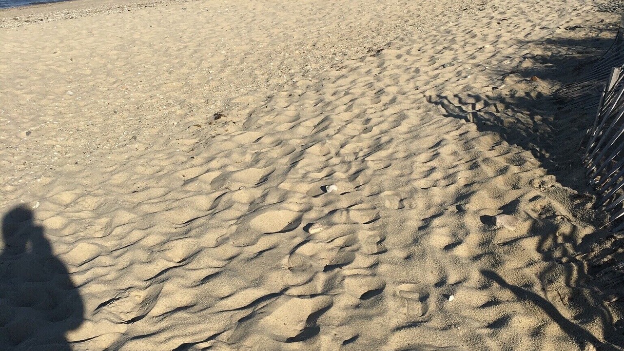Photo of Outdoor in Oak Bluffs
