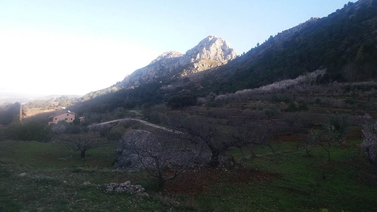 Photo of Outdoor in La Vall de Laguar