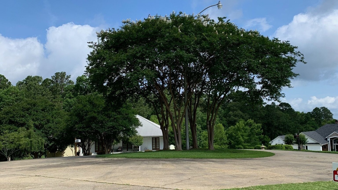 Photo of Outdoor in Negreet
